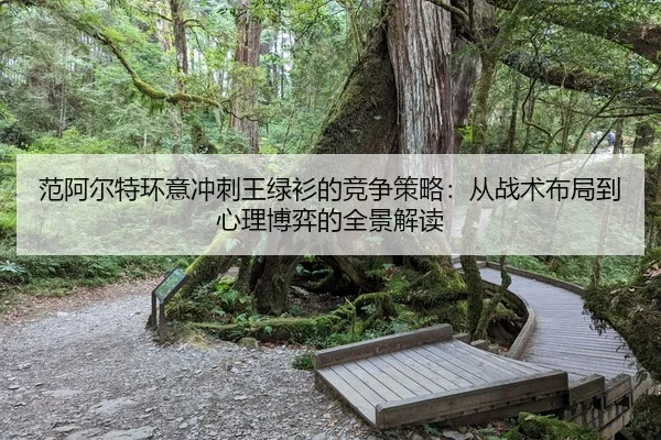 范阿尔特环意冲刺王绿衫的竞争策略：从战术布局到心理博弈的全景解读