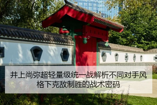 井上尚弥超轻量级统一战解析不同对手风格下克敌制胜的战术密码