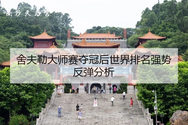 she-fu-lei-da-shi-sai-duo-guan-hou-shi-jie-pai-ming-qiang-shi-fan-tan-fen-xi-3-846.jpg