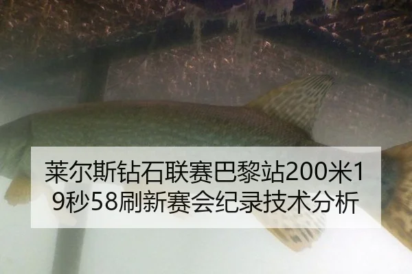 莱尔斯钻石联赛巴黎站200米19秒58刷新赛会纪录技术分析